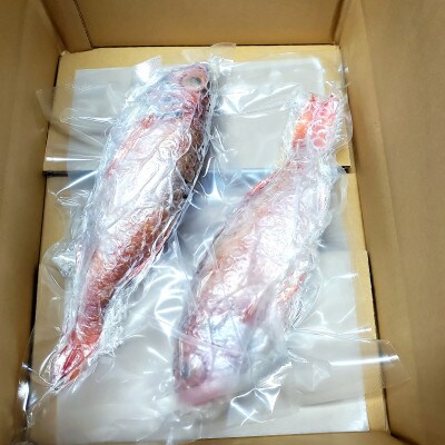【さとふる限定】訳あり 煮つけ用 のどぐろ(アカムツ)　150g～180g×2匹