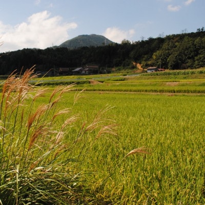 【令和6年産】　浜田の塩むすび(お米2kg+藻塩100g)