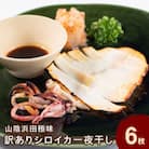 山陰浜田極味の訳あり　シロイカ(ケンサキイカ)一夜干し　6枚