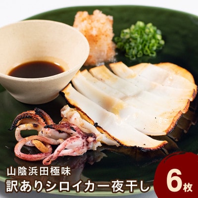 山陰浜田極味の訳あり　シロイカ(ケンサキイカ)一夜干し　6枚