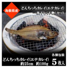 山陰浜田極味のどんちっちカレイ(エテカレイ)一夜干し　5枚