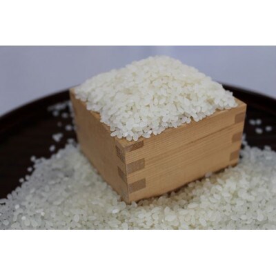 浜田市金城町の美味しいコシヒカリ100%(5kg×2)