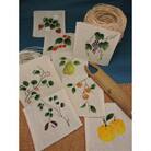 紙布織りコースター「果実」　小8枚セット