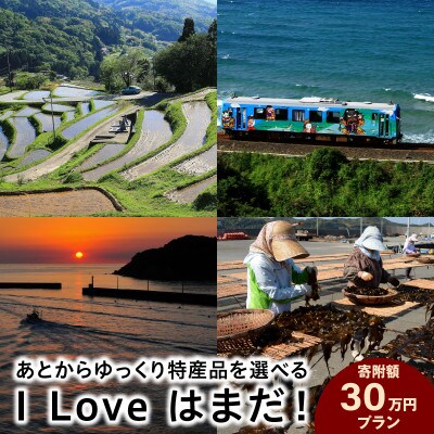 I Love はまだ!あとからゆっくり特産品を選べる(30万円プラン)