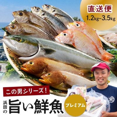 浜田のプレミアム鮮魚～この男シリーズ～