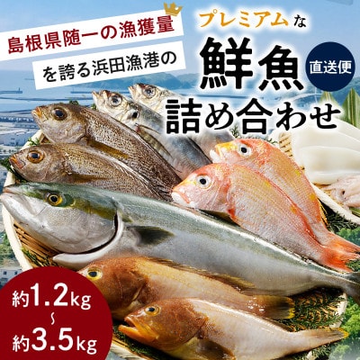 浜田のプレミアム鮮魚～この男シリーズ～