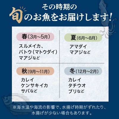 浜田のプレミアム鮮魚～この男シリーズ～