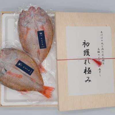 【先行受付】高級のどぐろ一夜干し「初獲れ極み」【2024年9月より順次発送】