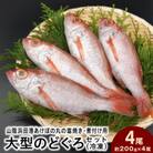山陰浜田港あけぼの丸の塩焼き・煮付け用大型のどぐろセット