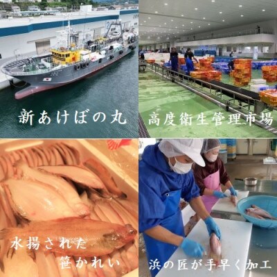 あけぼの丸と浜の匠が贈る高級かれい3種一夜干しセット