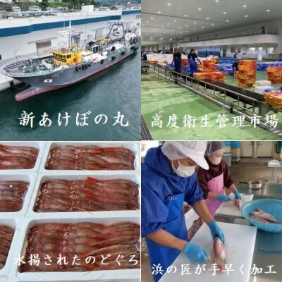 山陰浜田港あけぼの丸と浜の匠ののどぐろ・白いか一夜干しセット