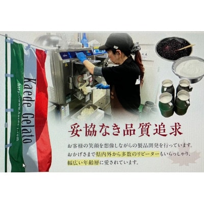 島根素材のイタリアンジェラート「ジェラート6個セット」