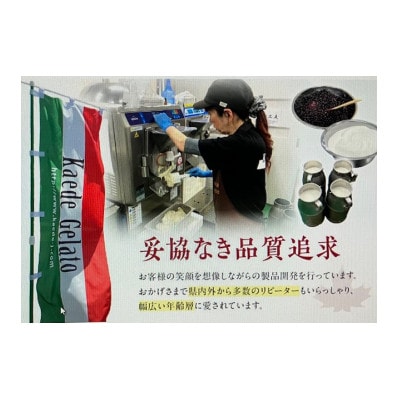 島根素材のイタリアンジェラート「ジェラート12個セット」