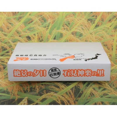 【令和7年産】浜田市産きぬむすめ5kg