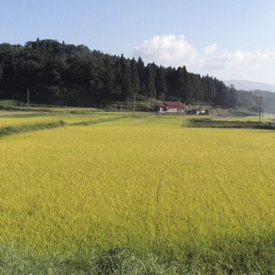 【令和7年産】浜田市産きぬむすめ5kg
