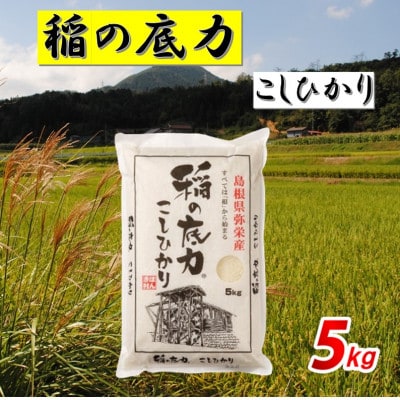 【令和7年産】浜田市産「稲の底力こしひかり」5kg