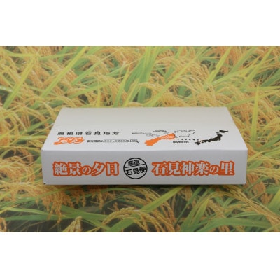 【令和7年産】浜田市産「稲の底力こしひかり」5kg