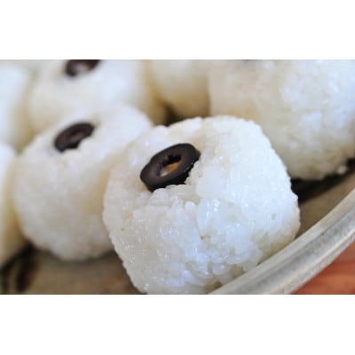 【令和7年産】浜田市産「稲の底力こしひかり」5kg
