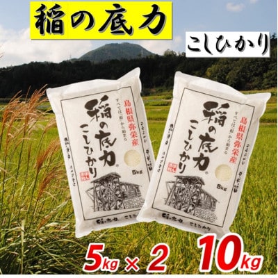 【令和7年産】浜田市産「稲の底力こしひかり」10kg(5kg×2)