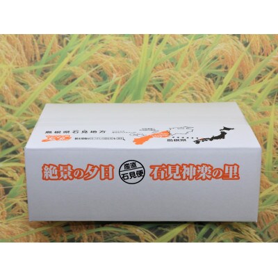 【令和7年産】浜田市産「稲の底力こしひかり」10kg(5kg×2)