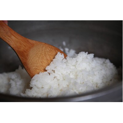 【令和7年産】浜田市産「稲の底力こしひかり」10kg(5kg×2)