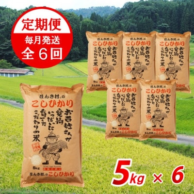 【毎月定期便】ほんき村のこしひかり(5kg×6回)　合計30kg全6回