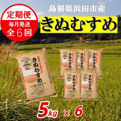 【毎月定期便】きぬむすめ5kg(6回)合計30kg全6回