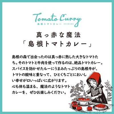 島根トマトカレー 4箱セット