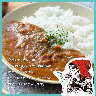 島根トマトカレー 4箱セット