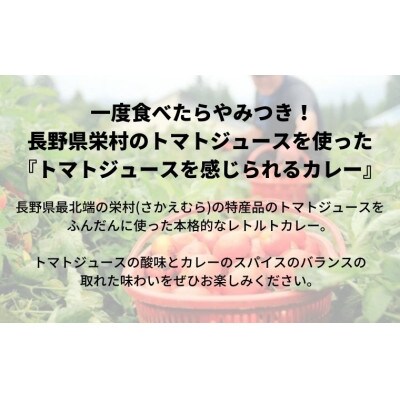 さかえむらトマジューカレー【5個セット】