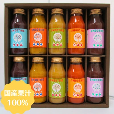 国産果汁 フルーツスムージーセット10本セット(180ml×10) NH01-23E