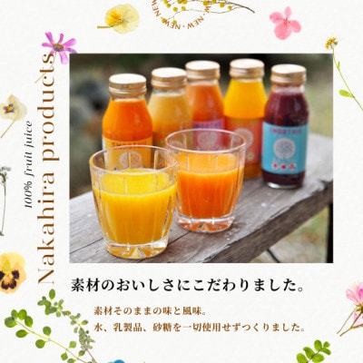 国産果汁 フルーツスムージーセット10本セット(180ml×10) NH01-23E