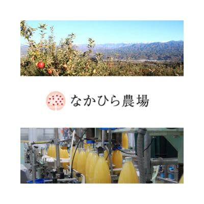 国産果汁 フルーツスムージーセット10本セット(180ml×10) NH01-23E