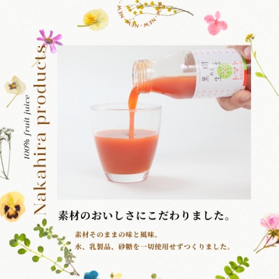 国産果汁100%ジュース 健康ギフト10本セット NH02-23E