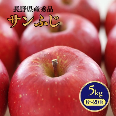 りんご サンふじ(長野県産秀品) 5kg【2026年11月下旬～12月中旬頃発送予定】 MS15