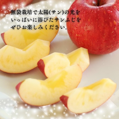 りんご サンふじ(長野県産秀品) 5kg【2026年11月下旬～12月中旬頃発送予定】 MS15