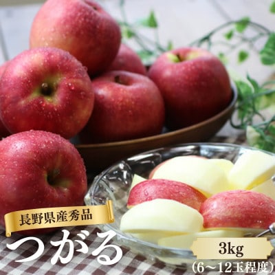 りんご つがる(長野県産秀品) 3kg【2026年9月上旬～9月中旬発送予定】