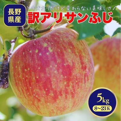 りんご サンふじ(長野県産訳あり品) 5kg【2027年1月上旬～2月上旬頃発送予定】