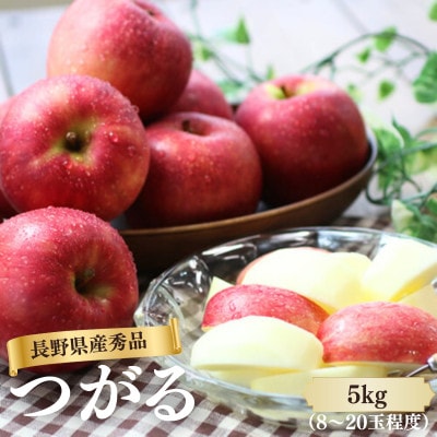 りんご つがる(長野県産秀品) 5kg【2026年9月上旬～9月中旬発送予定】