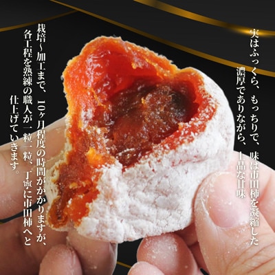 市田柿 (ご自宅用)柿実500g×4袋【2026年1月上旬～2月下旬頃発送予定】 MS24