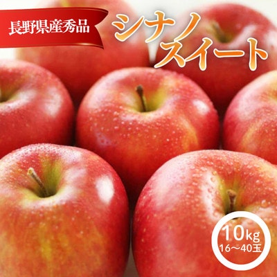 りんご シナノスイート(長野県産秀品) 10kg【2026年10月中旬～11月中旬頃発送予定】