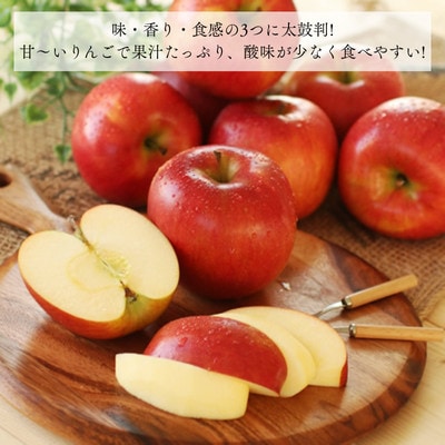 りんご シナノスイート(長野県産秀品) 10kg【2026年10月中旬～11月中旬頃発送予定】