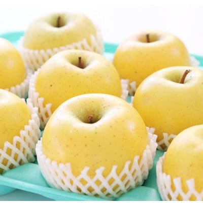 りんご シナノゴールド(長野県産秀品) 3kg【10月下旬～11月下旬頃発送予定】 MS11