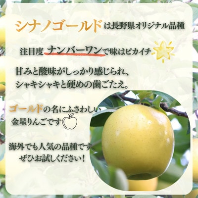 りんご シナノゴールド(長野県産秀品) 3kg【2026年10月下旬～11月下旬頃発送予定】