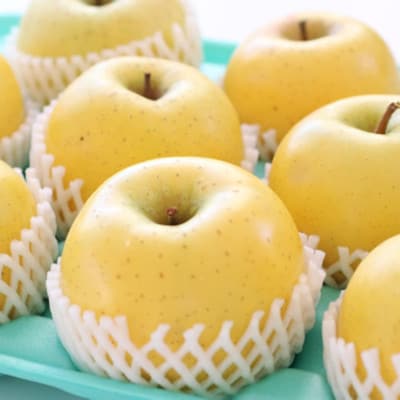 りんご シナノゴールド(長野県産秀品) 3kg【2026年10月下旬～11月下旬頃発送予定】