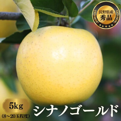 りんご シナノゴールド(長野県産秀品) 5kg【2026年10月下旬～11月下旬頃発送予定】