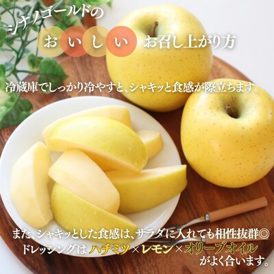りんご シナノゴールド(長野県産秀品) 5kg【2026年10月下旬～11月下旬頃発送予定】