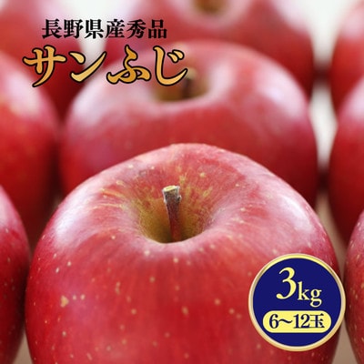 りんご サンふじ(長野県産秀品) 3kg【2026年11月下旬～12月中旬頃発送予定】 MS14