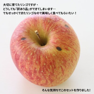 りんご サンふじ(長野県産訳あり品) 10kg【2027年1月上旬～2月上旬頃発送予定】