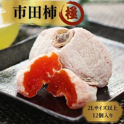 市田柿「極」2Lサイズ以上12個【2026年1月上旬～2月下旬頃発送予定】 MS20